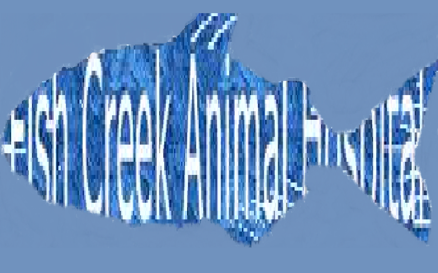 FishCreek Logo