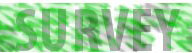 Survey