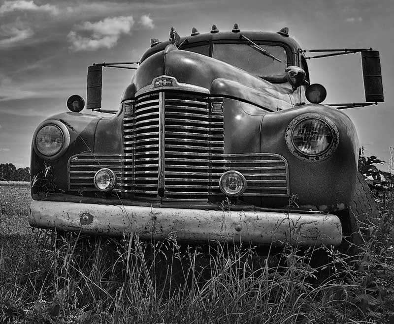 The cropped picture.