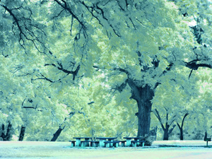 I Removed The Trash Can From The Picture