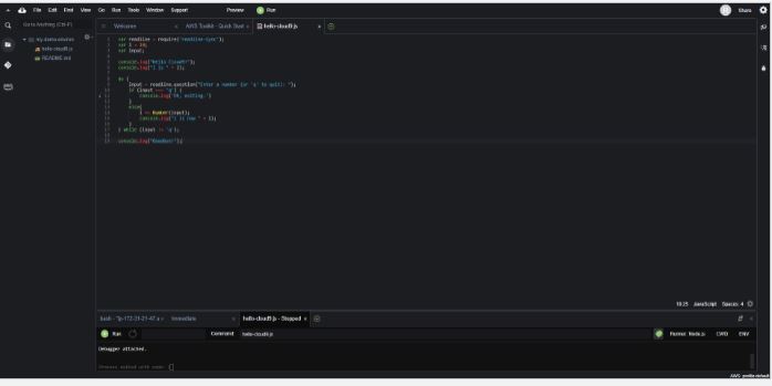 Image of AWS Cloud 9 IDE Console